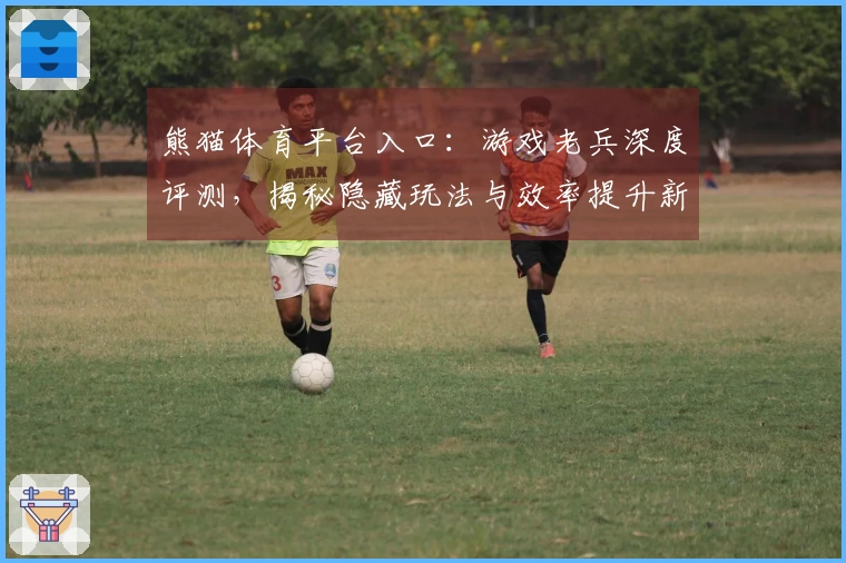 熊猫体育平台入口：游戏老兵深度评测，揭秘隐藏玩法与效率提升新思路